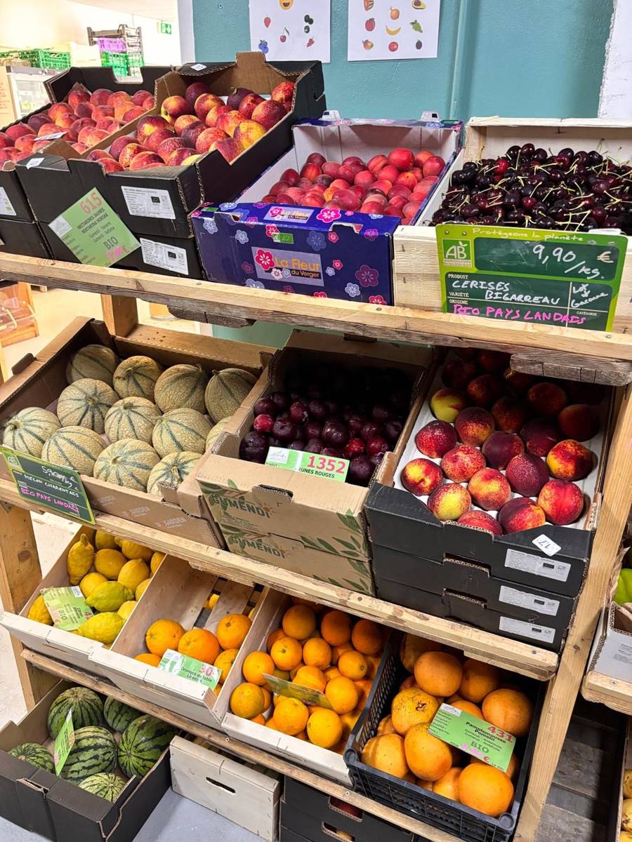 Cagettes de pêches, abricots et cerises en rayon