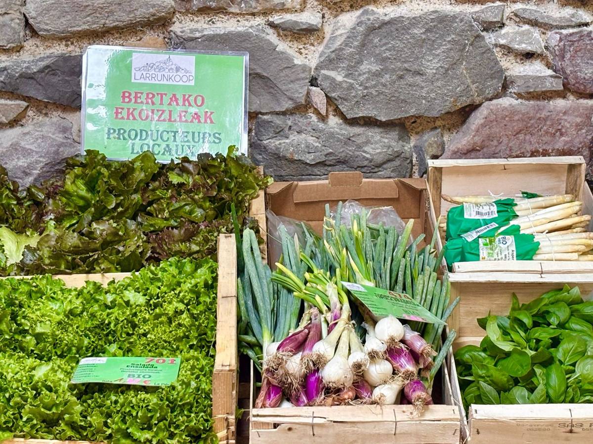 Étal de producteurs locaux : salades, oignons, poireaux